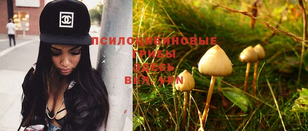 стаф Абинск