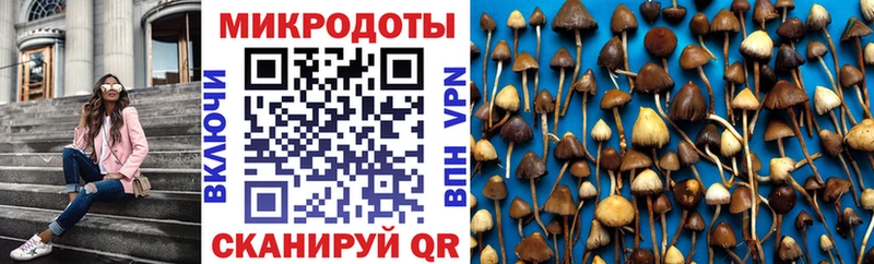 где купить   Никольск  Галлюциногенные грибы Psilocybine cubensis 